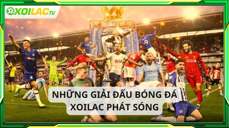 Trực tiếp bóng đá xoilac cung cấp nhiều giải đấu trên thế giới Trực tiếp bóng đá xoilac cung cấp nhiều giải đấu trên thế giới