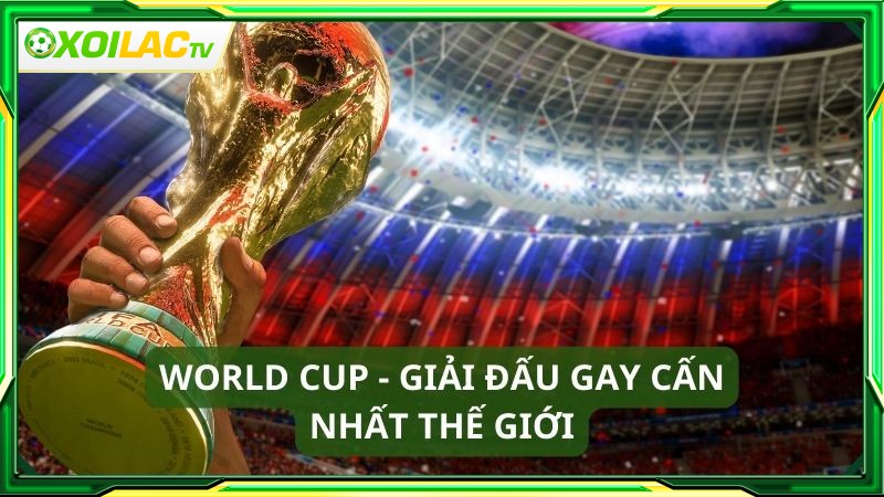 Trực tiếp bóng đá Xoilac tự hào sở hữu bản quyền World Cup 2026 Trực tiếp bóng đá Xoilac tự hào sở hữu bản quyền World Cup 2026